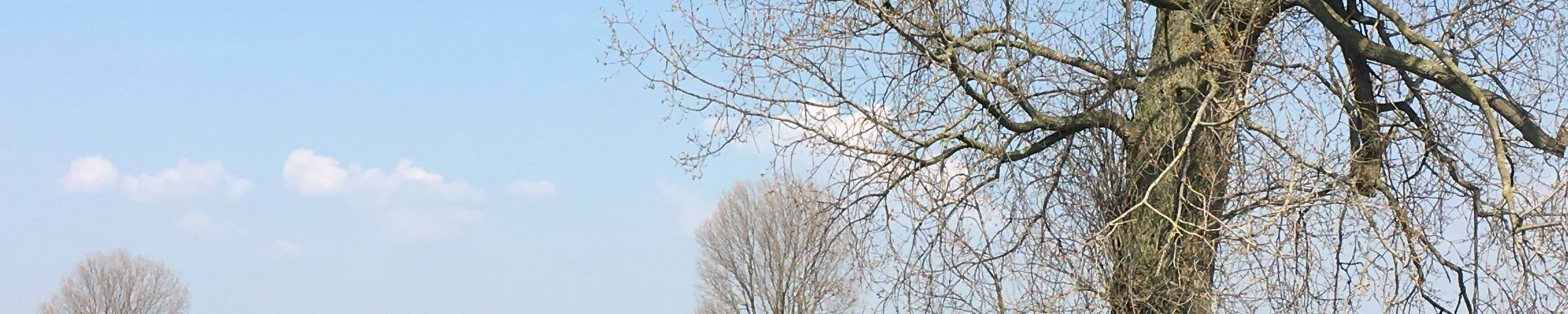 Over de Maas Alphen